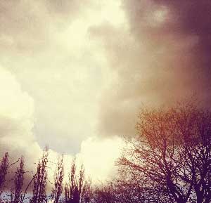 An Abandoned Garden record album cover art