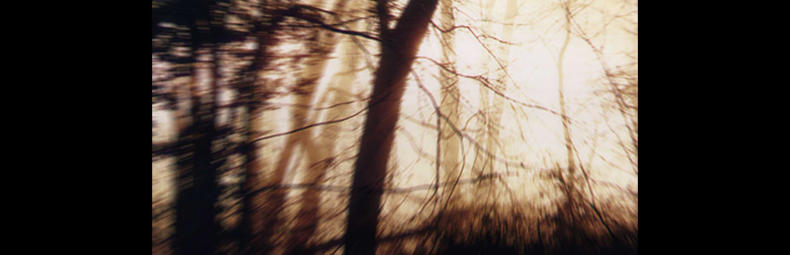 Cover art for Five Nocturnes CD. Photo: Caroline Meyers